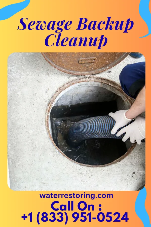 Sewage Backup Cleanup in Olde West Chester, OH